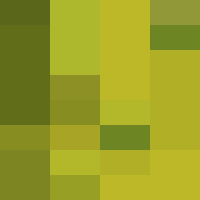 dragloner's skin