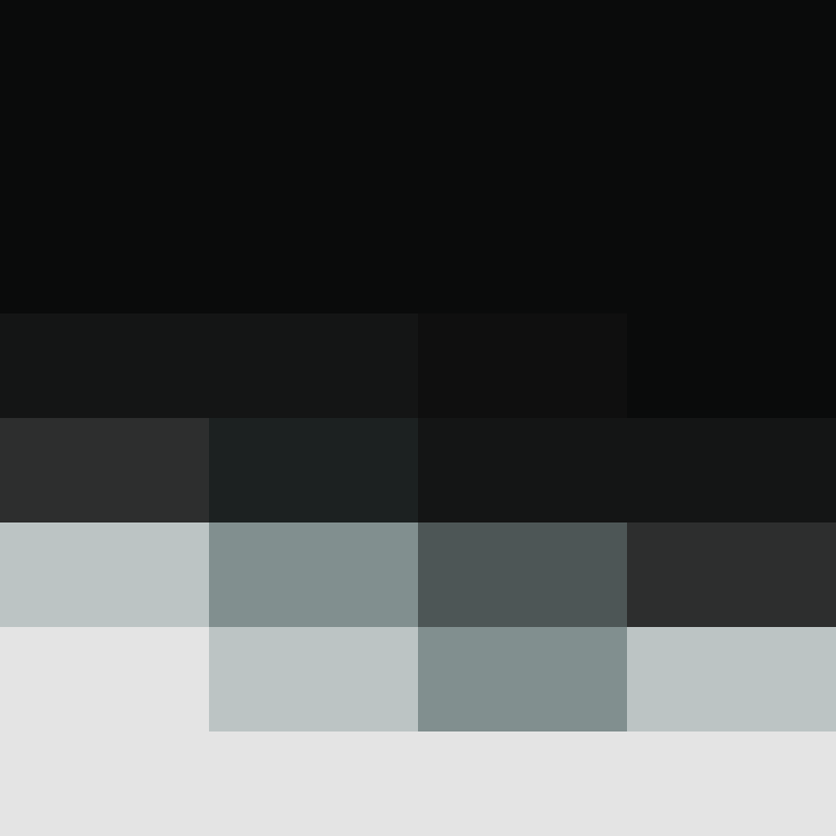 PtakopyskCZ's skin