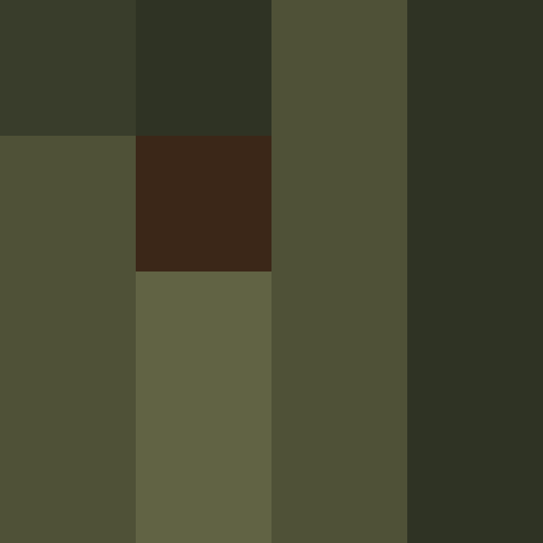 Cartizoll's skin