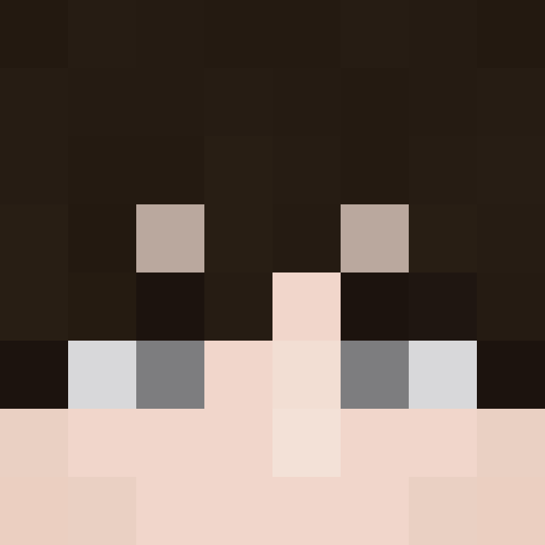 CeilingBird's skin