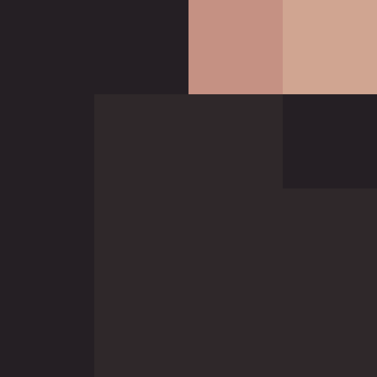 AutoSkin's skin