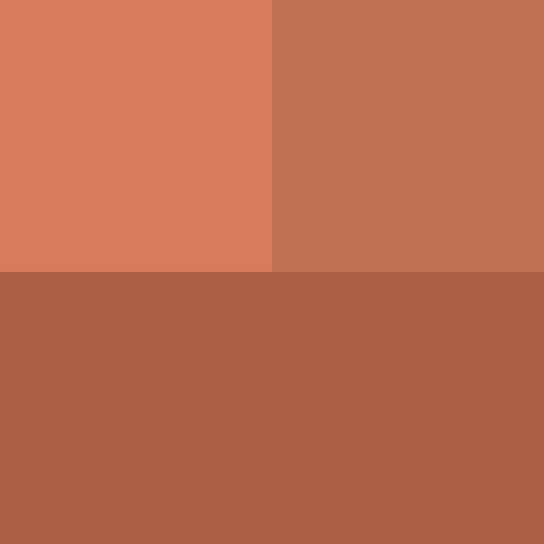 WebNX's skin