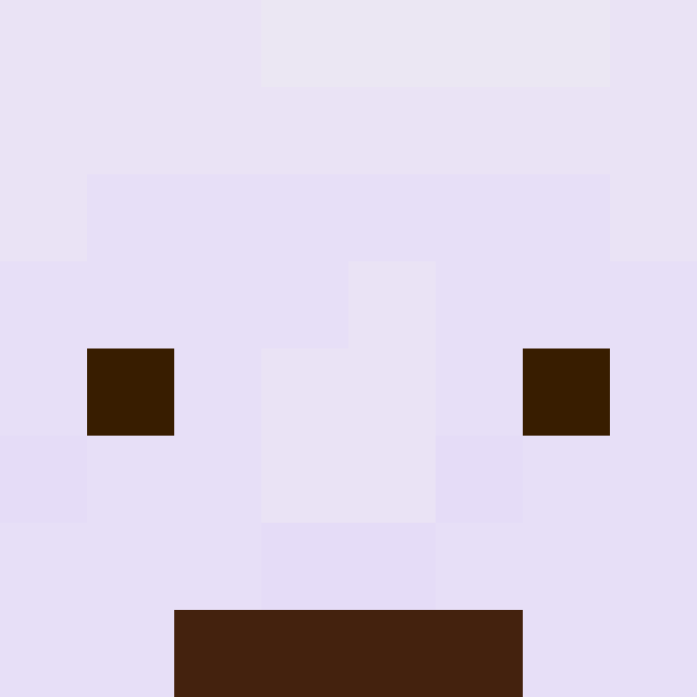 BukkitAPI's skin