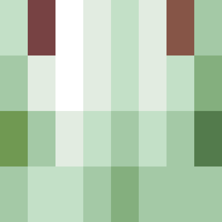 Auntbrix's skin