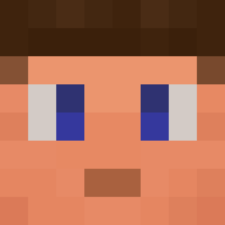 TheCuriousMiner's skin