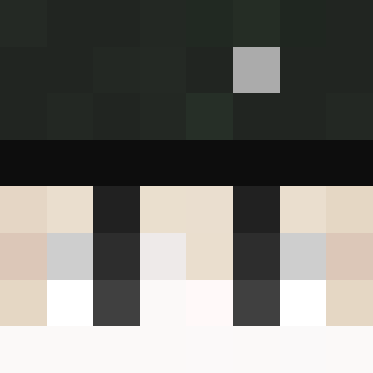 BukkitAPI's skin