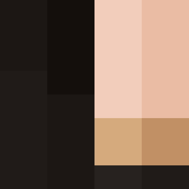 dragloner's skin