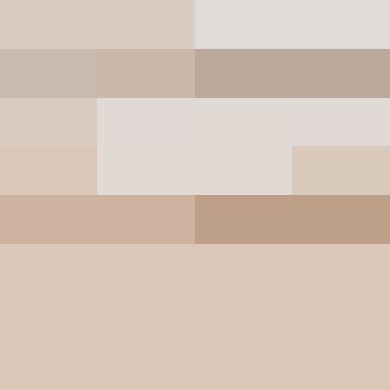 acin5's skin