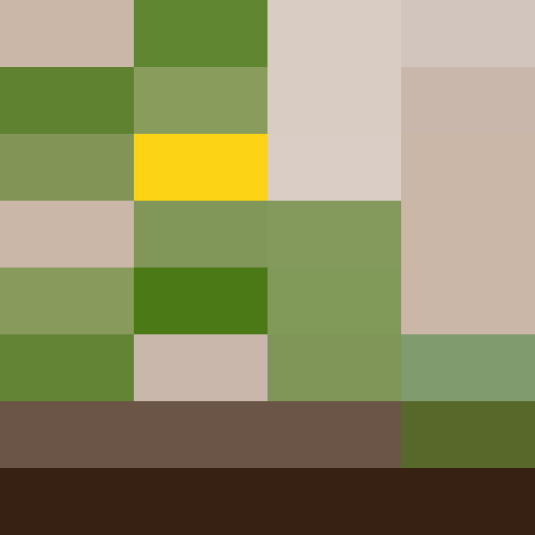 xentany's skin