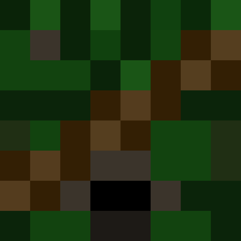 v4r1n's skin