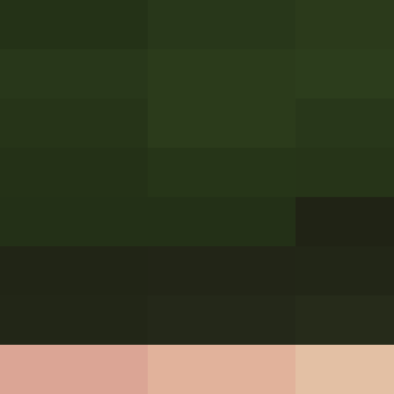 AdamTheHedgehog's skin