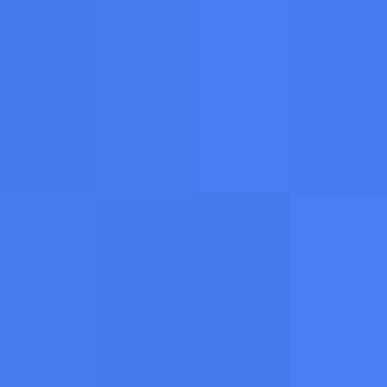 Cartizoll's skin