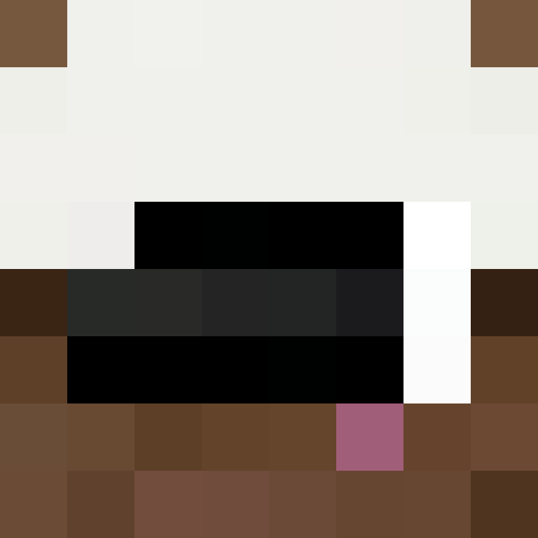 8aca680b22461340's skin