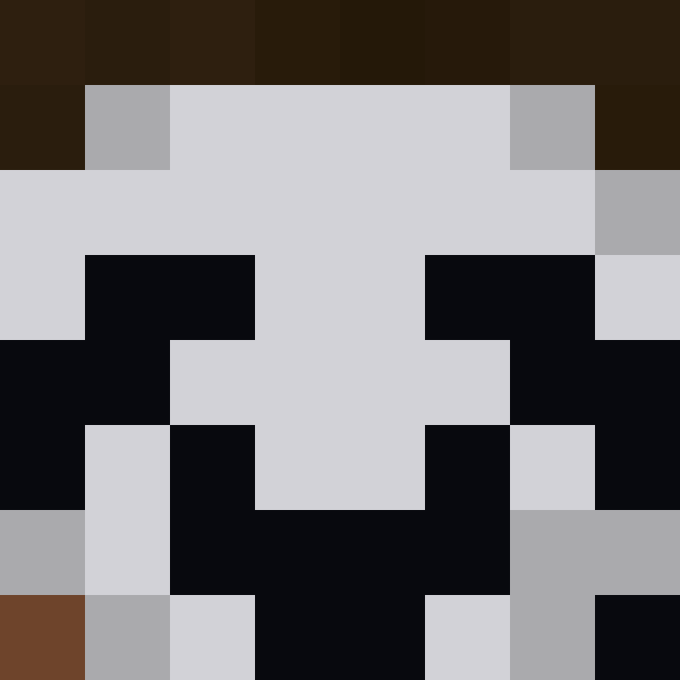8aca680b22461340's skin