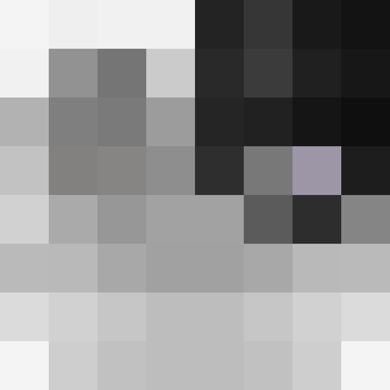 BukkitAPI's skin