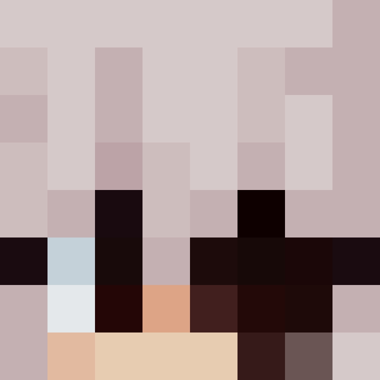 CeilingBird's skin