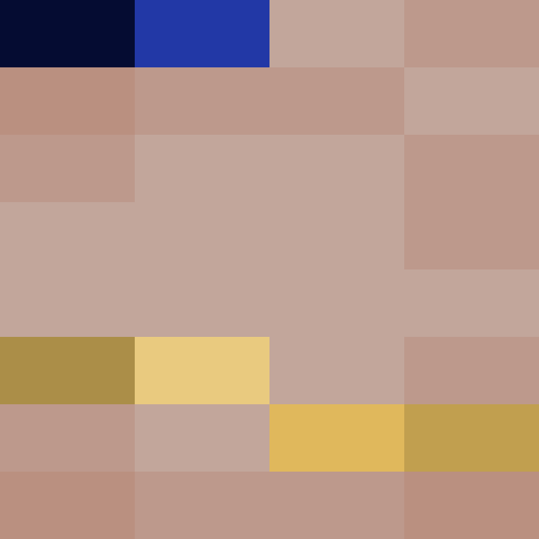 Cartizoll's skin