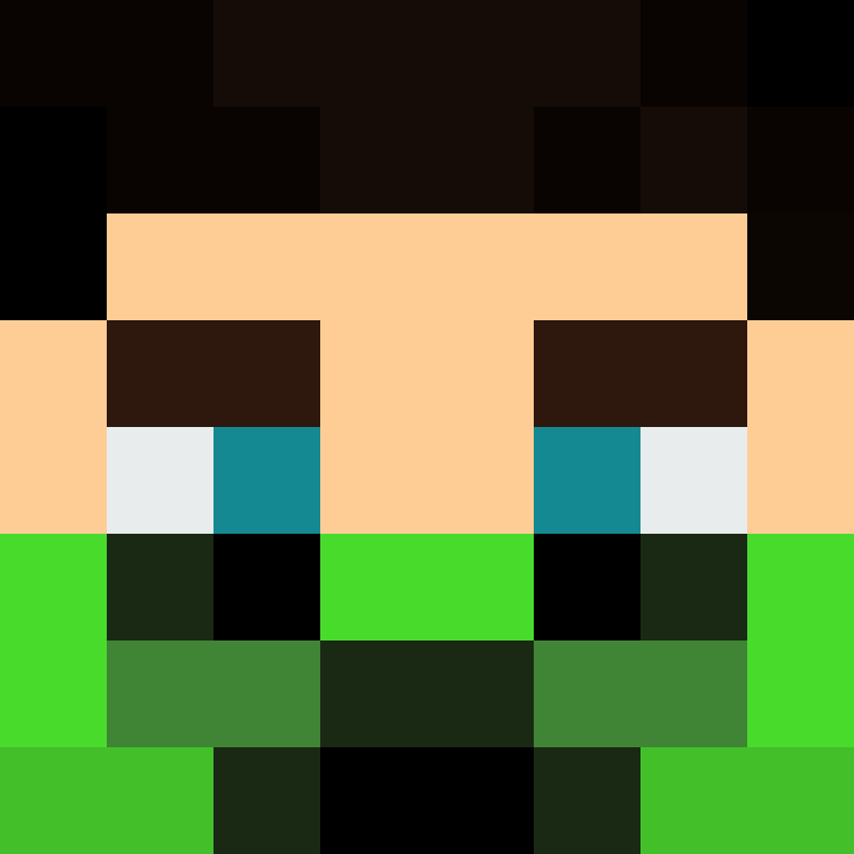 GR1ZZLY180's skin