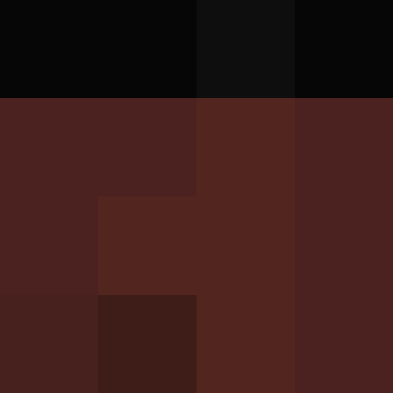 CeilingBird's skin