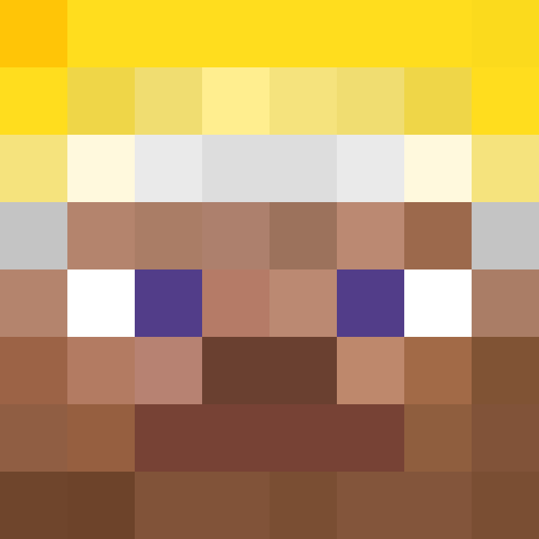 xX_No_Income_Xx's skin