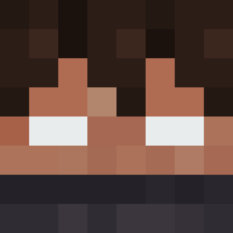 BukkitAPI's skin