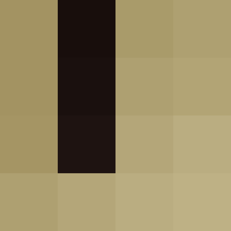 8aca680b22461340's skin