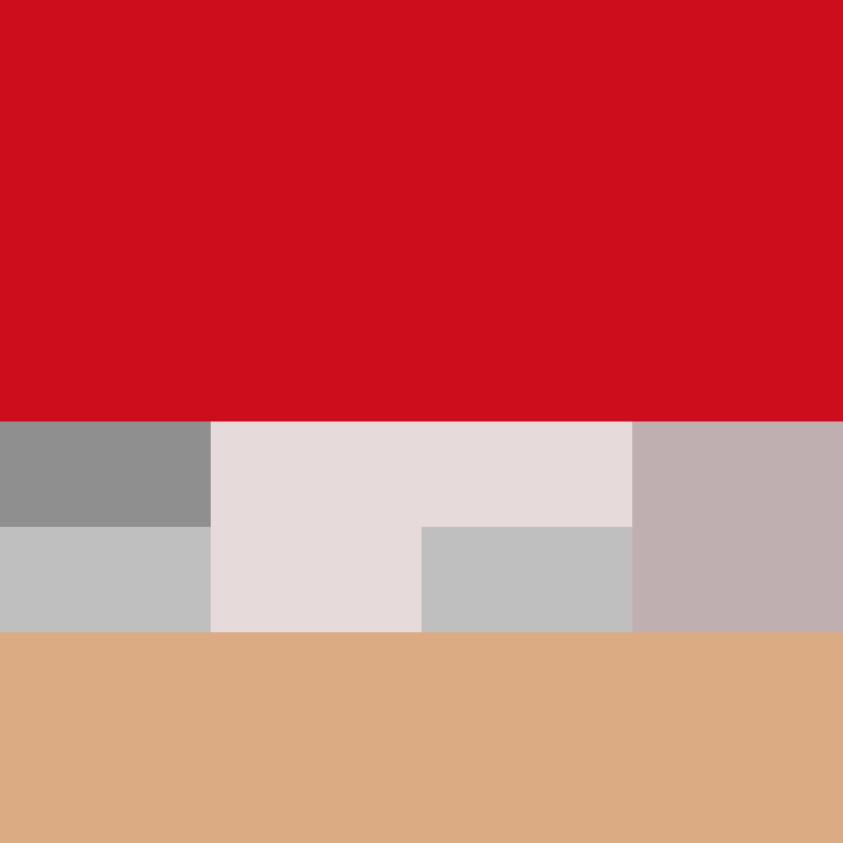 BukkitAPI's skin