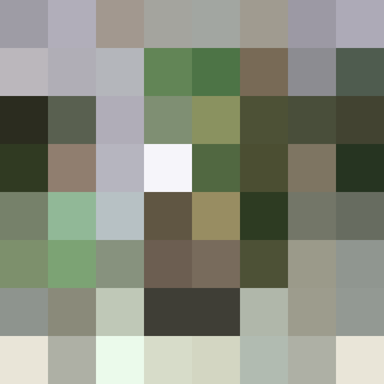Tsunei's skin