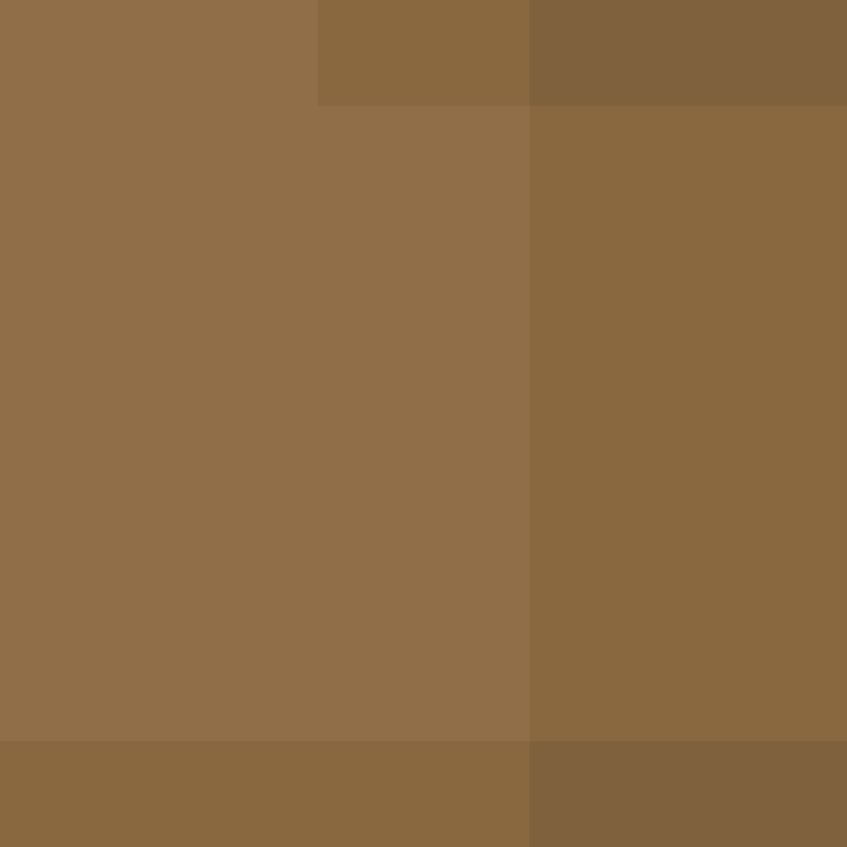 dragloner's skin