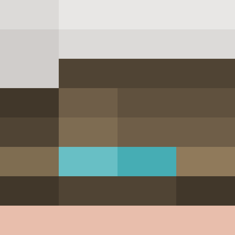 Mine_Skin's skin