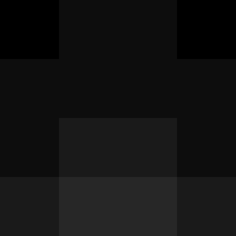 acin5's skin
