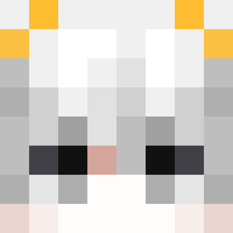 8aca680b22461340's skin