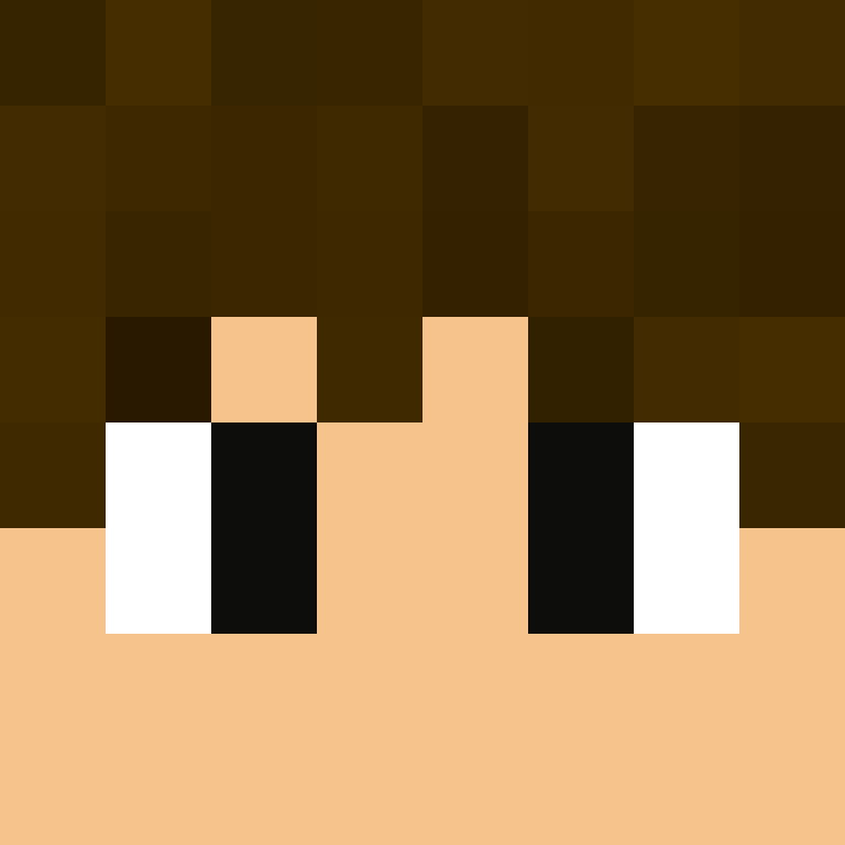 8aca680b22461340's skin