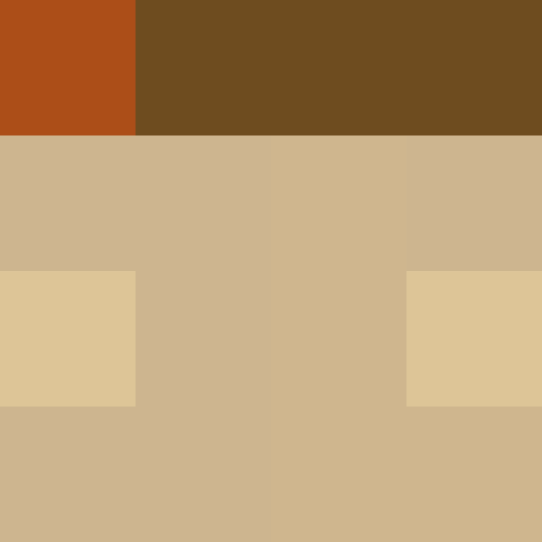 DargiV's skin
