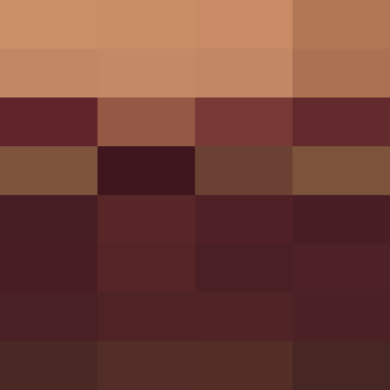 DonaldTrump42's skin