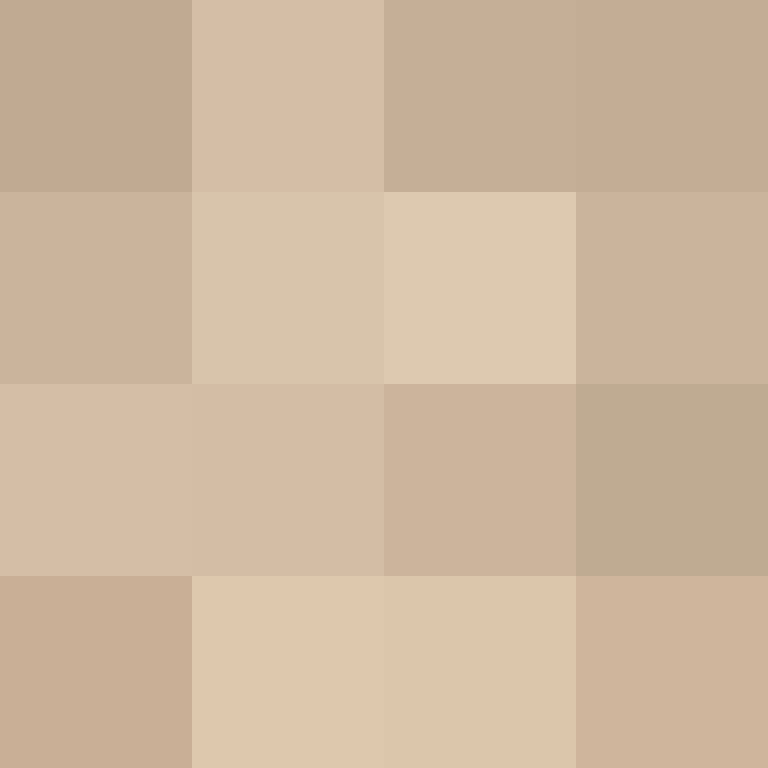 v4r1n's skin