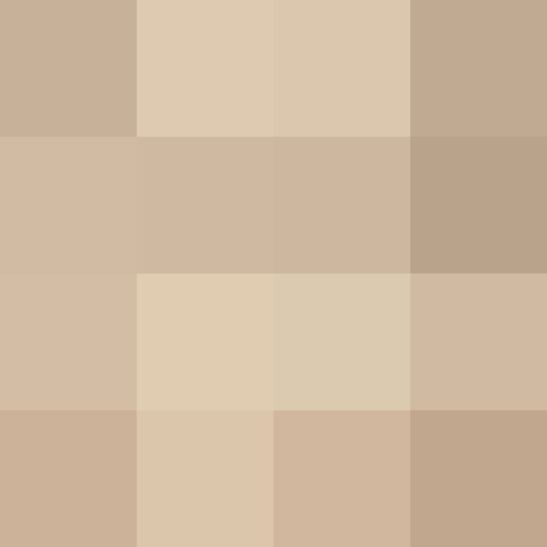 wiredframe's skin