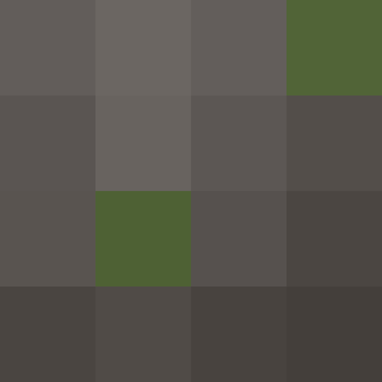 Lugattu's skin