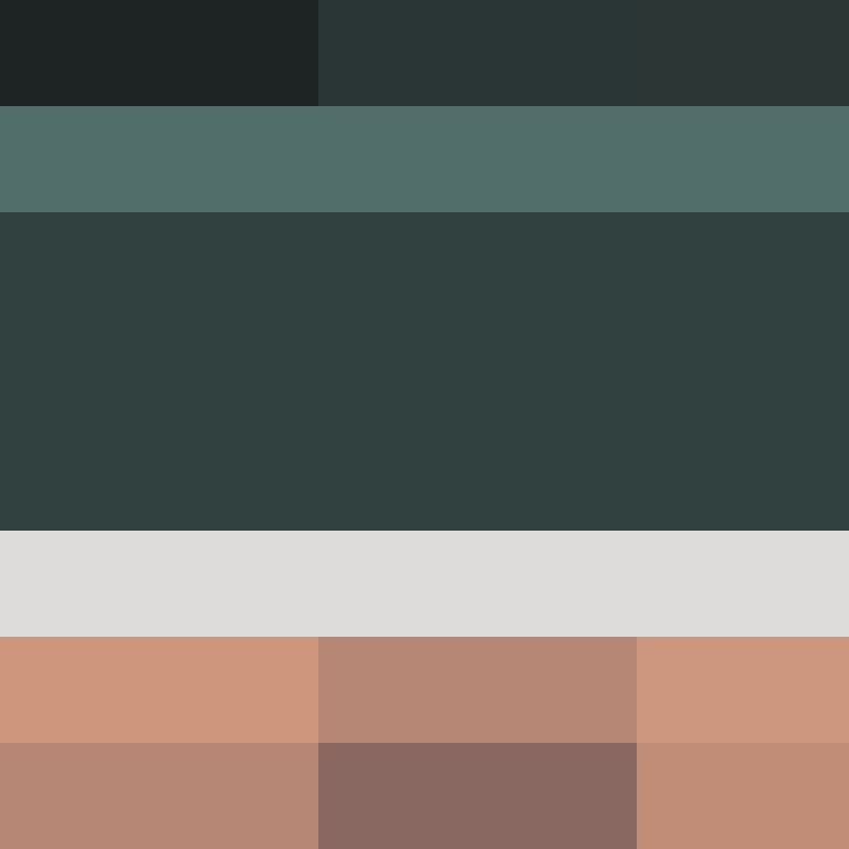 hpyef's skin