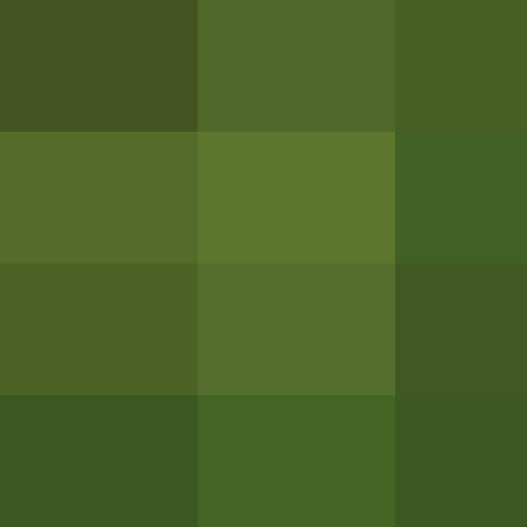JaneVoid11's skin
