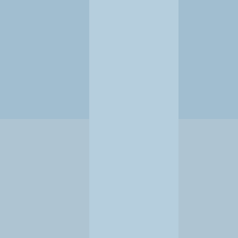 Shar_d's skin
