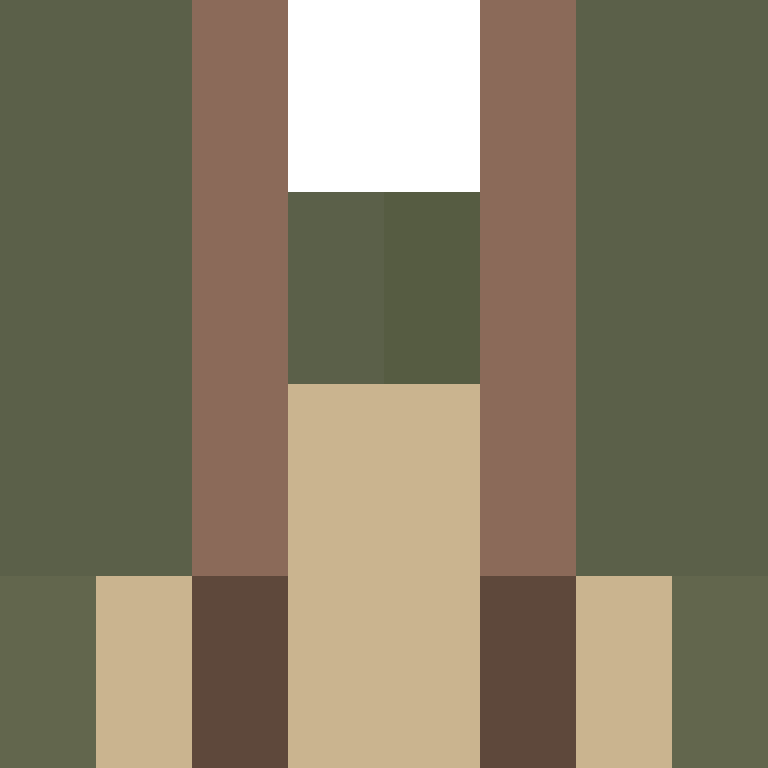 BradBot_2's skin