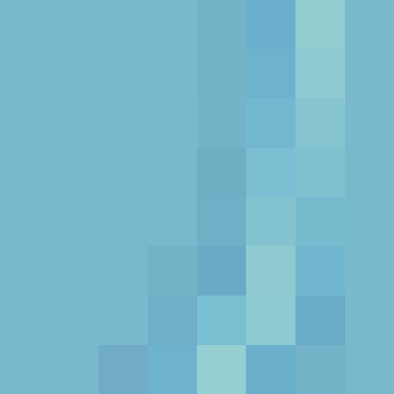 acin5's skin