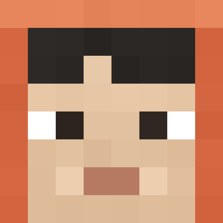 wiredframe's skin
