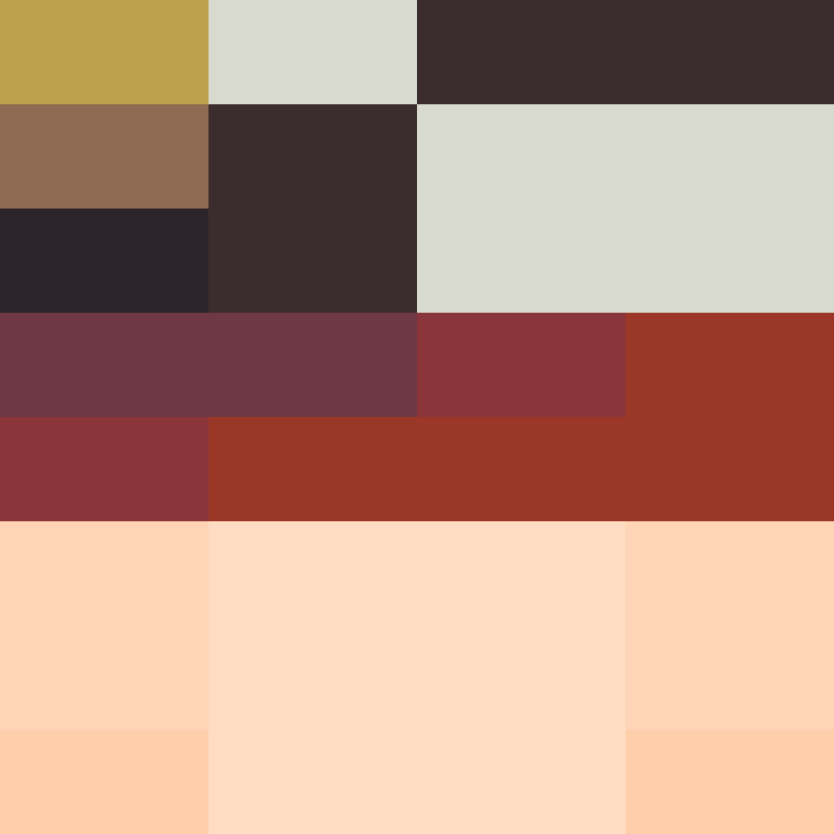 acin5's skin
