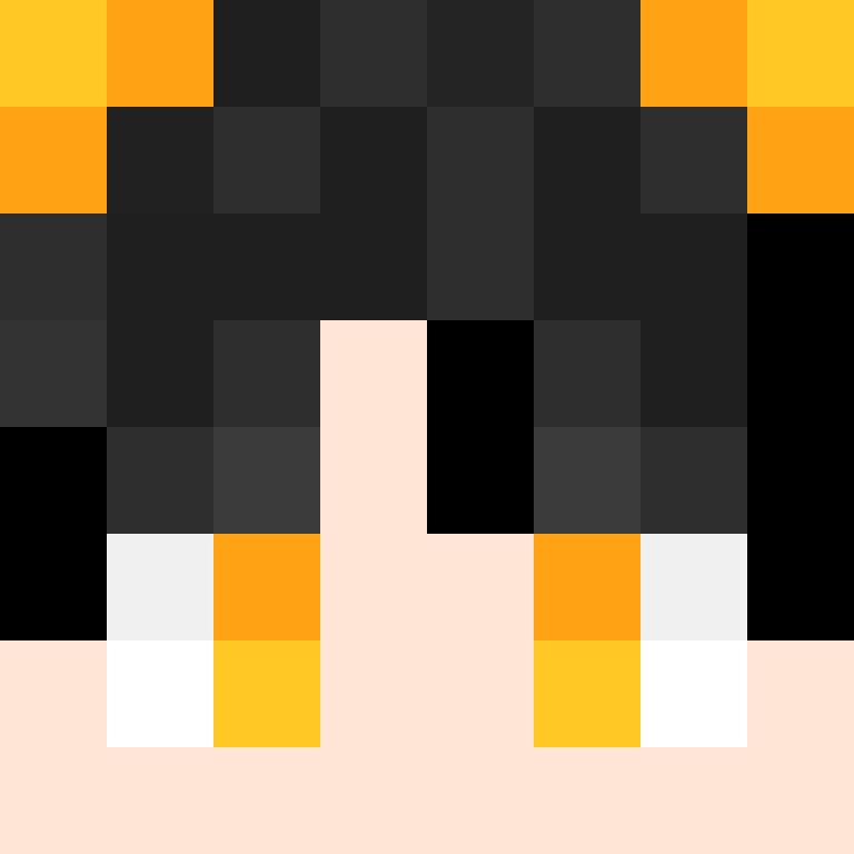 8aca680b22461340's skin