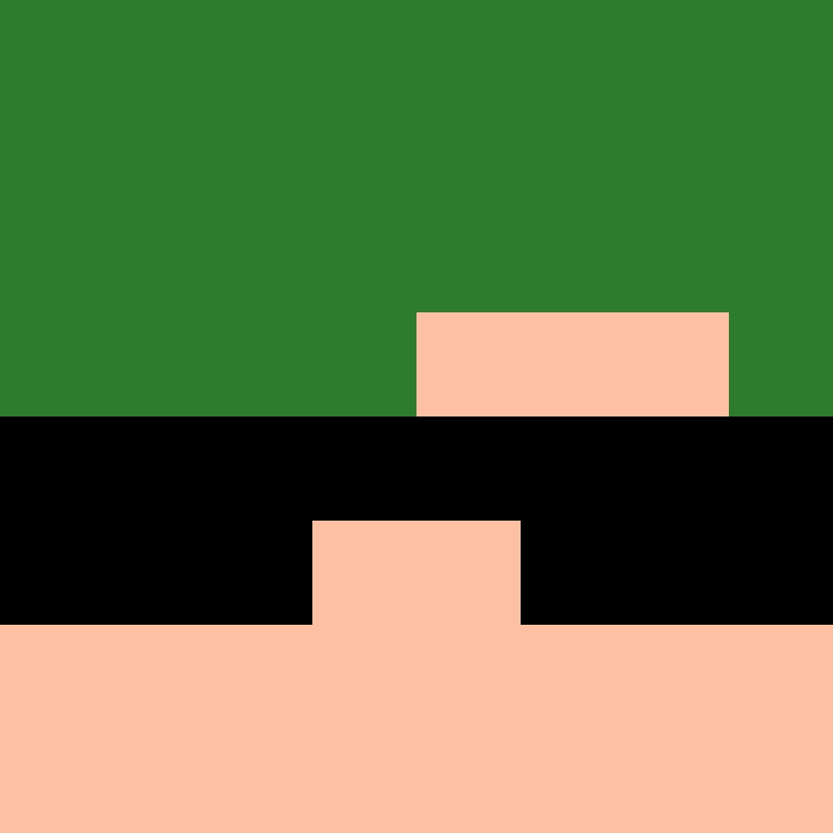 8aca680b22461340's skin