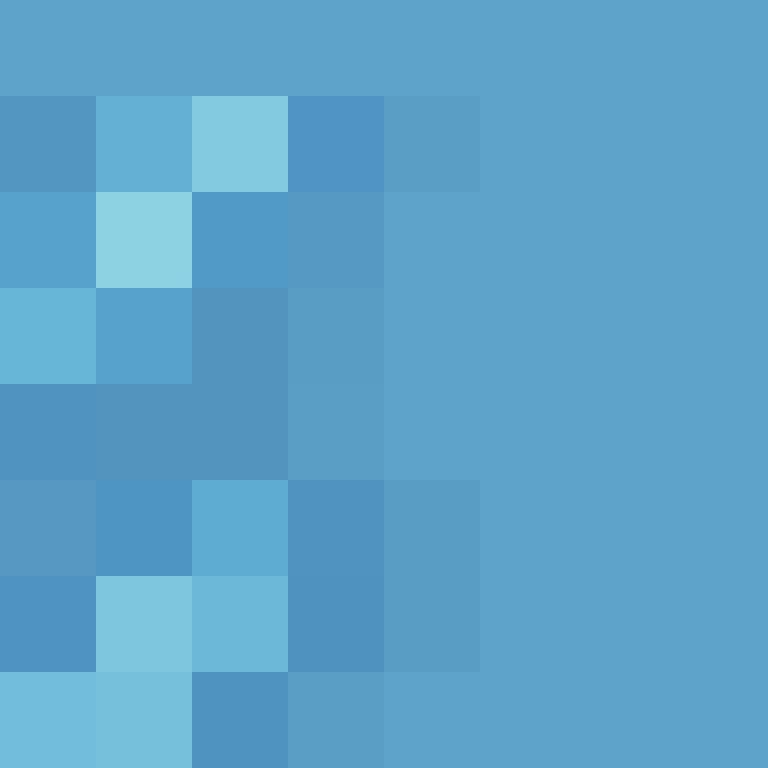 acin5's skin
