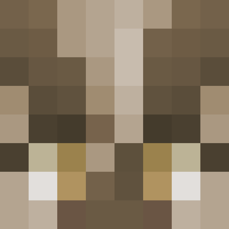 AutoSkin's skin