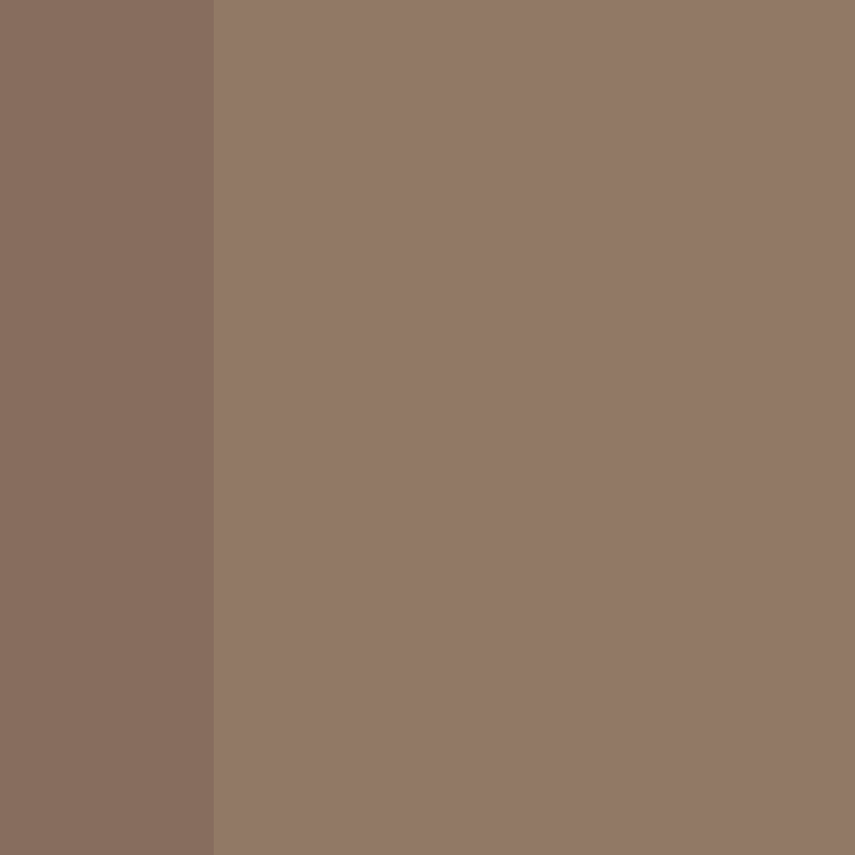 CeilingBird's skin